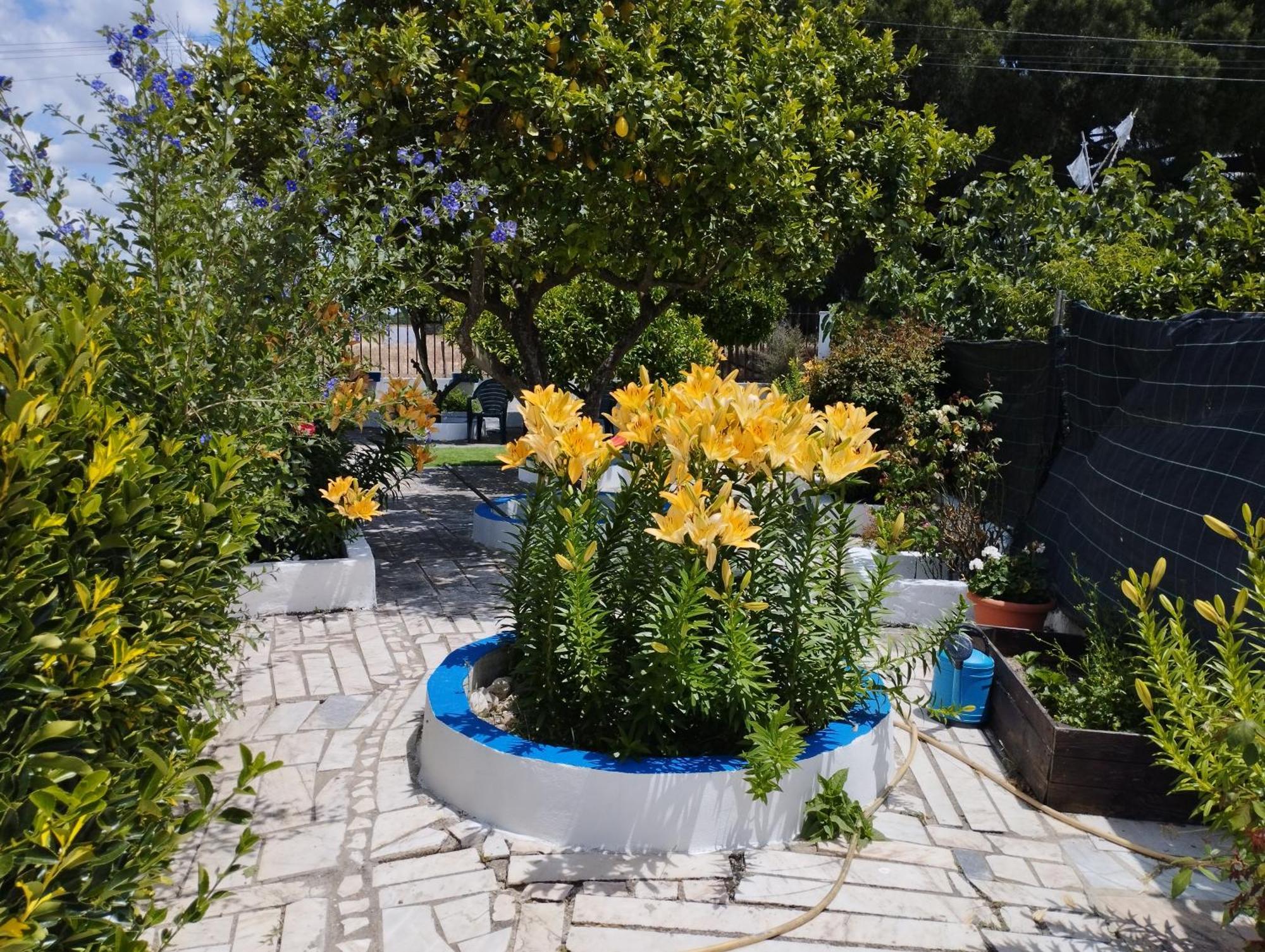 Monte Sol Nascente Villa Grandola Luaran gambar