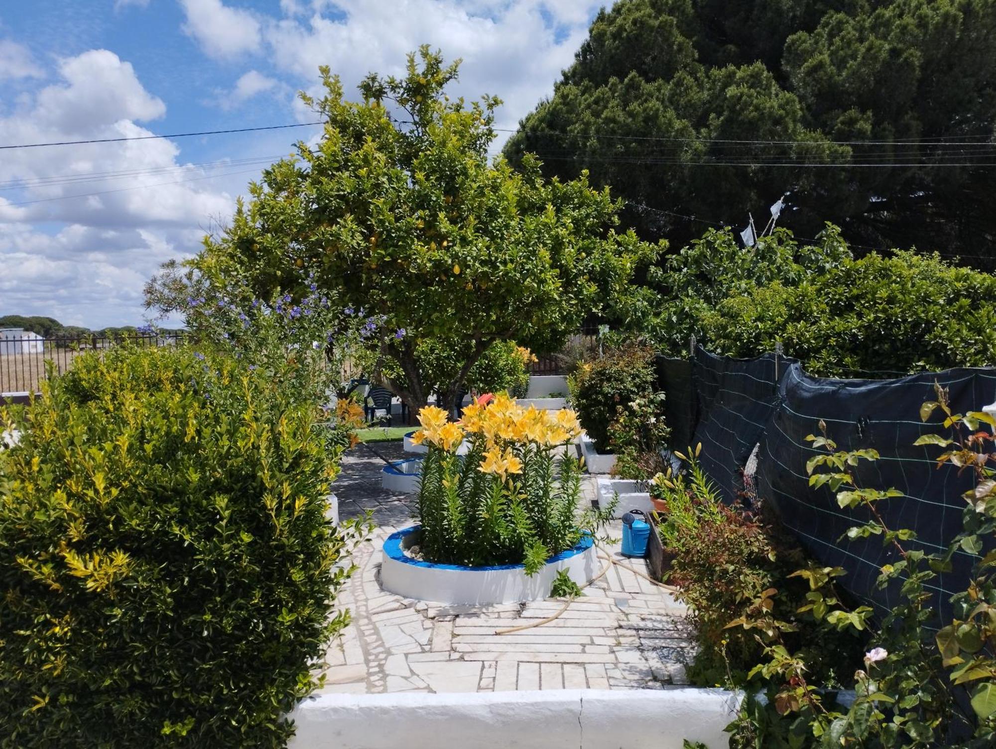 Monte Sol Nascente Villa Grandola Luaran gambar